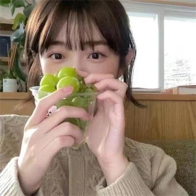 我的新野蛮女友